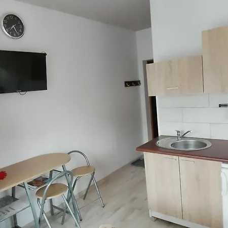 Apartamenty ZAKOporoniec Poronin Zewnętrze zdjęcie